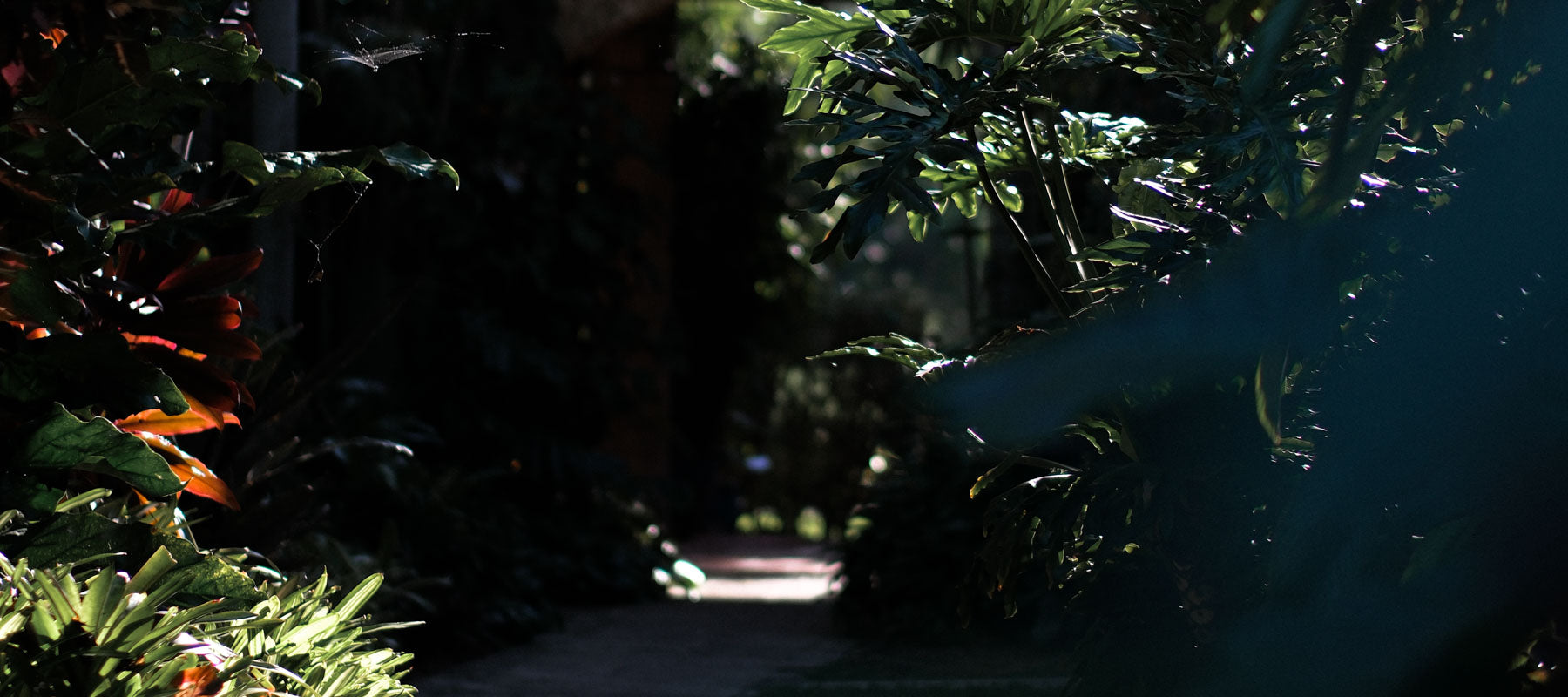 The Kampong - A Floridian Oasis