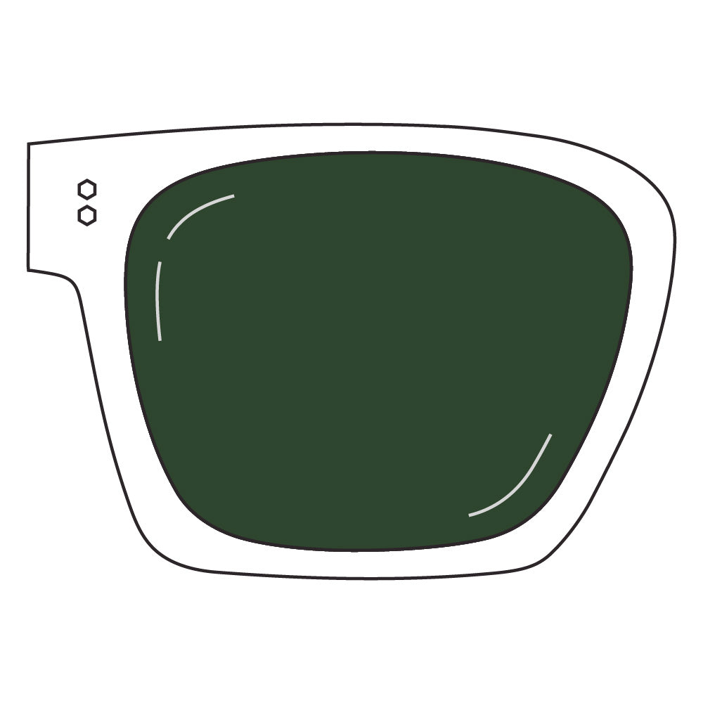 Polarized Lenses