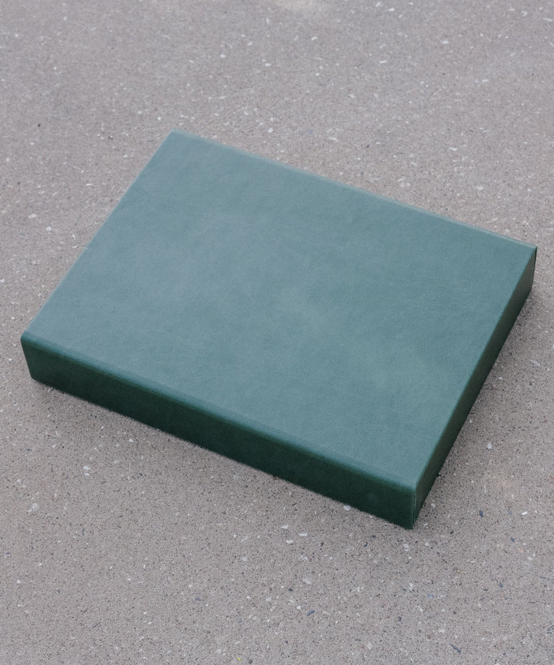 Johan Wolff Large Collectors Case